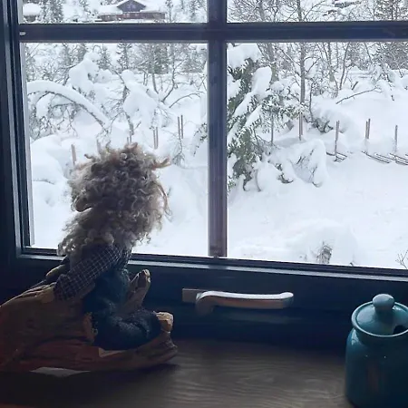 Modern Family At Vegglifjell Feriehus Veggli