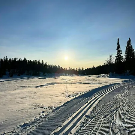 Modern Family At Vegglifjell Feriehus *