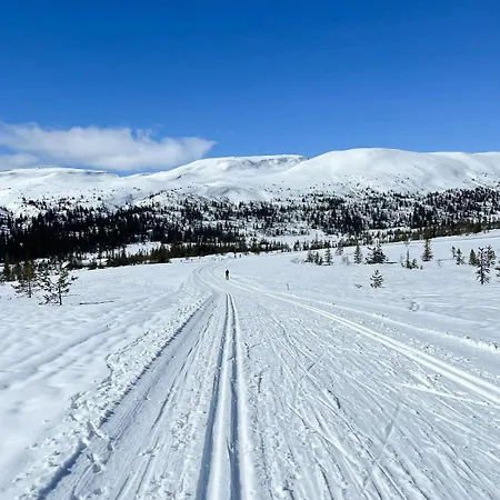 Modern Family At Vegglifjell * Veggli