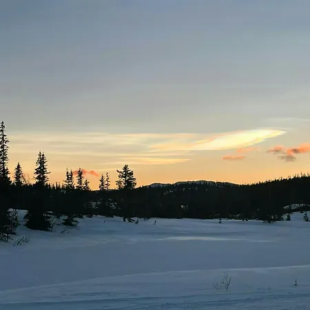 Modern Family At Vegglifjell Feriehus Veggli